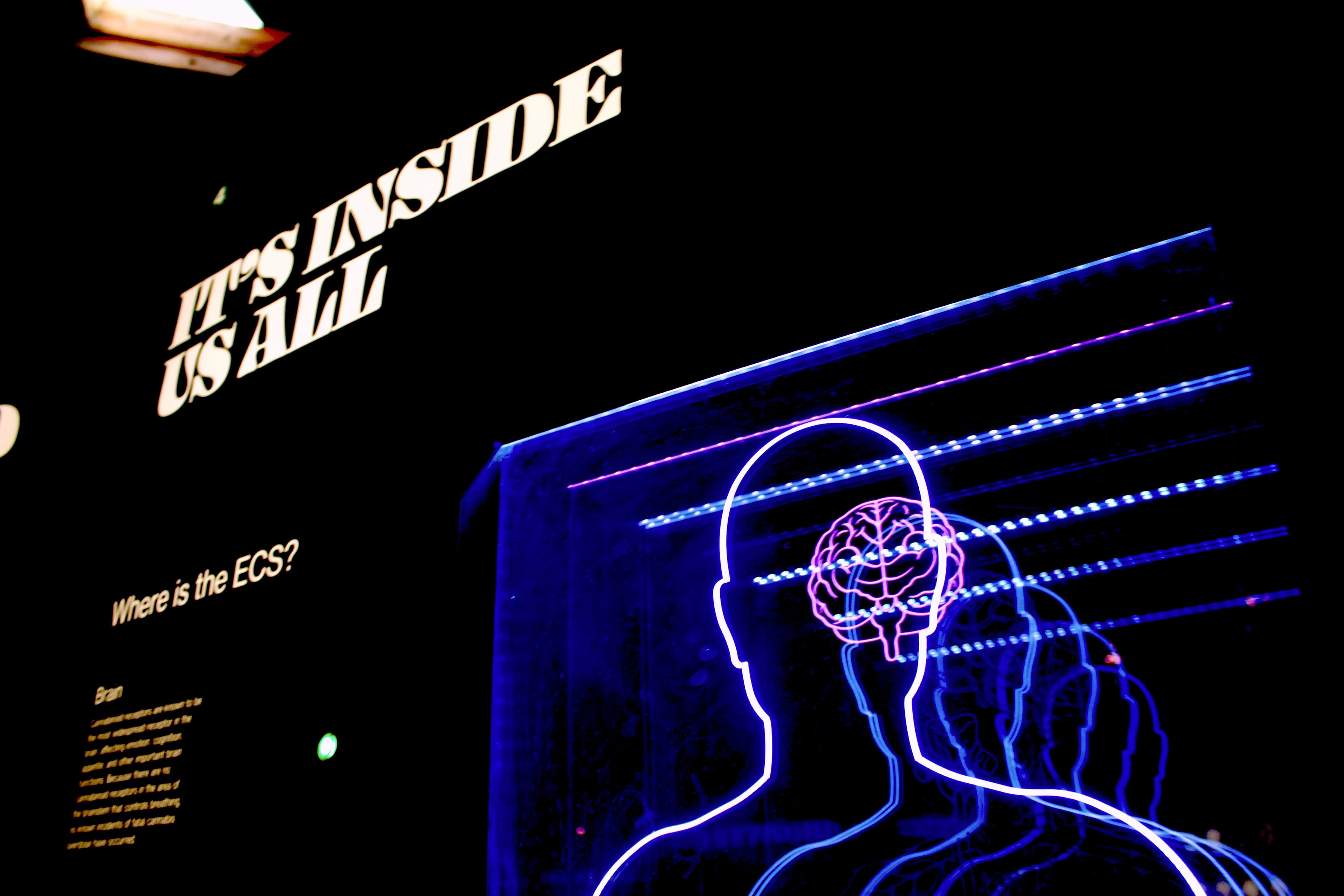 How Recall Wins in Advertising: The Science of Being Unforgettable